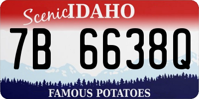 ID license plate 7B6638Q