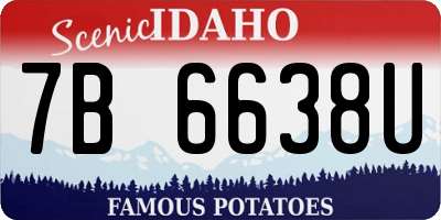 ID license plate 7B6638U