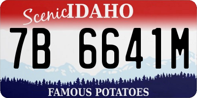 ID license plate 7B6641M