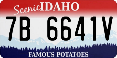 ID license plate 7B6641V