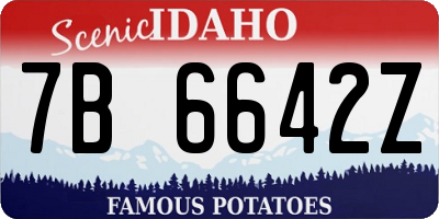ID license plate 7B6642Z