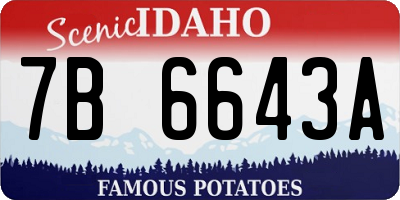 ID license plate 7B6643A