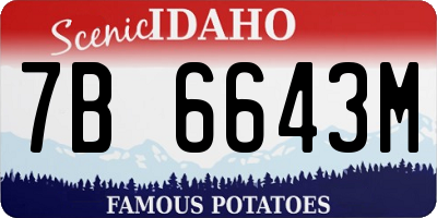 ID license plate 7B6643M