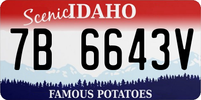 ID license plate 7B6643V