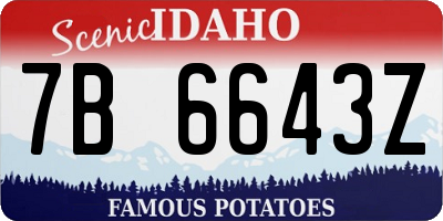 ID license plate 7B6643Z