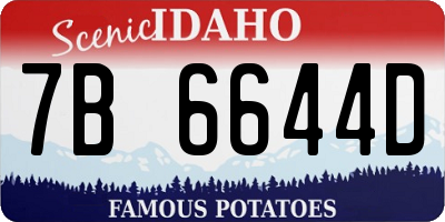 ID license plate 7B6644D