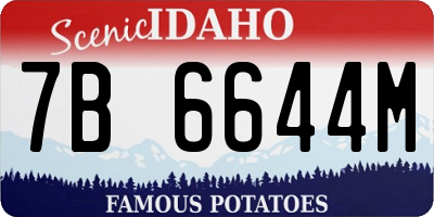 ID license plate 7B6644M