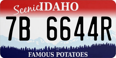 ID license plate 7B6644R