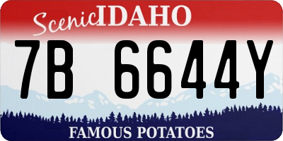 ID license plate 7B6644Y
