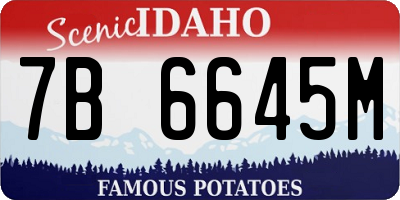 ID license plate 7B6645M