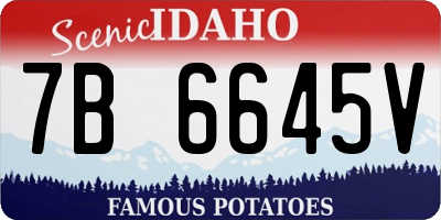 ID license plate 7B6645V