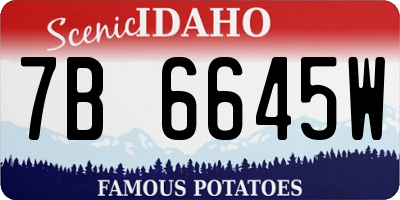 ID license plate 7B6645W