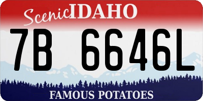 ID license plate 7B6646L