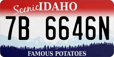 ID license plate 7B6646N