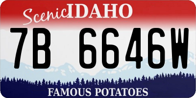 ID license plate 7B6646W