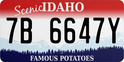 ID license plate 7B6647Y