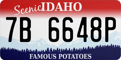 ID license plate 7B6648P