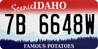 ID license plate 7B6648W