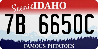 ID license plate 7B6650C