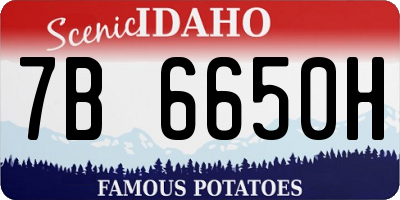 ID license plate 7B6650H