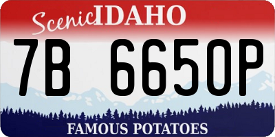 ID license plate 7B6650P