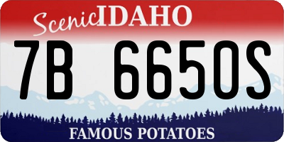 ID license plate 7B6650S