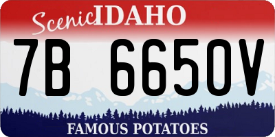 ID license plate 7B6650V