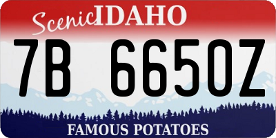 ID license plate 7B6650Z