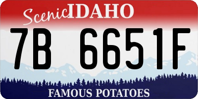 ID license plate 7B6651F