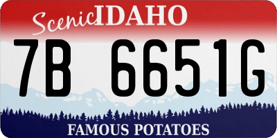 ID license plate 7B6651G