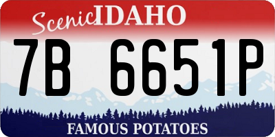 ID license plate 7B6651P
