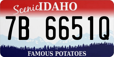 ID license plate 7B6651Q