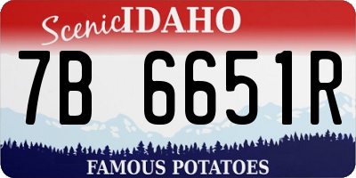 ID license plate 7B6651R