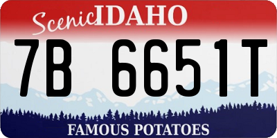 ID license plate 7B6651T