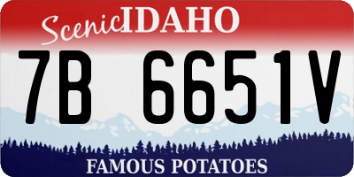 ID license plate 7B6651V