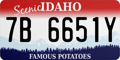 ID license plate 7B6651Y