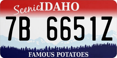 ID license plate 7B6651Z