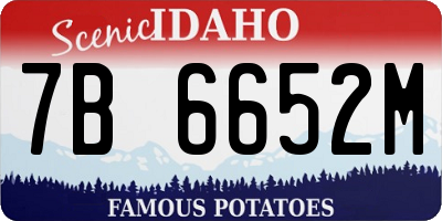 ID license plate 7B6652M