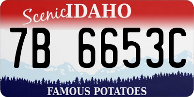 ID license plate 7B6653C