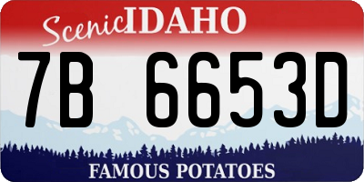 ID license plate 7B6653D