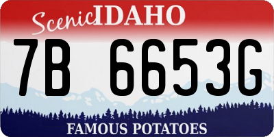 ID license plate 7B6653G