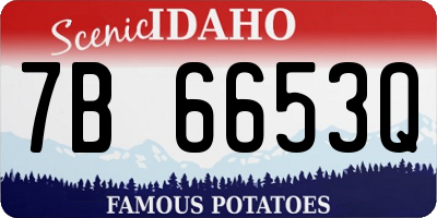 ID license plate 7B6653Q