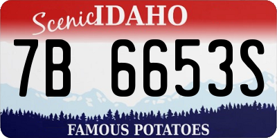ID license plate 7B6653S