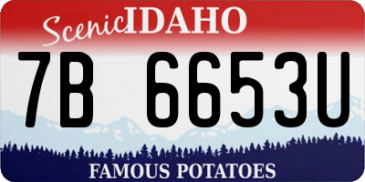 ID license plate 7B6653U