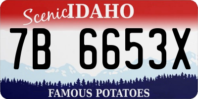 ID license plate 7B6653X