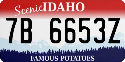 ID license plate 7B6653Z