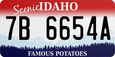 ID license plate 7B6654A