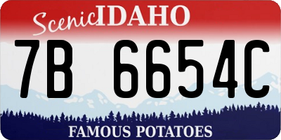 ID license plate 7B6654C