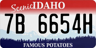ID license plate 7B6654H