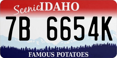 ID license plate 7B6654K